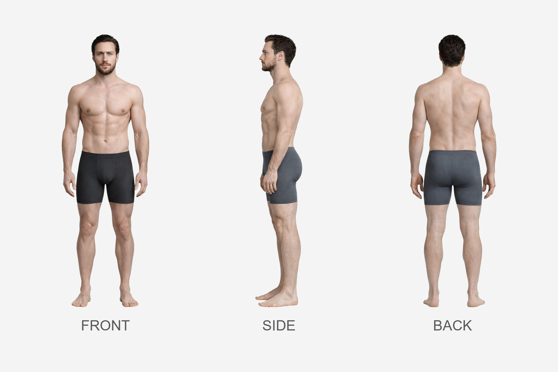 Alexander Anatomy Sheet Comparison