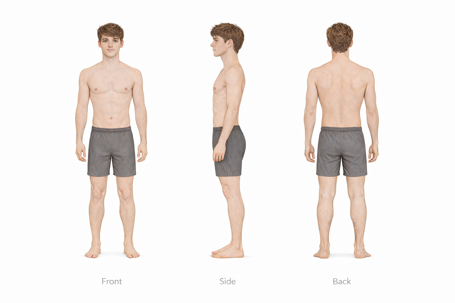 Luca Anatomy Sheet Comparison