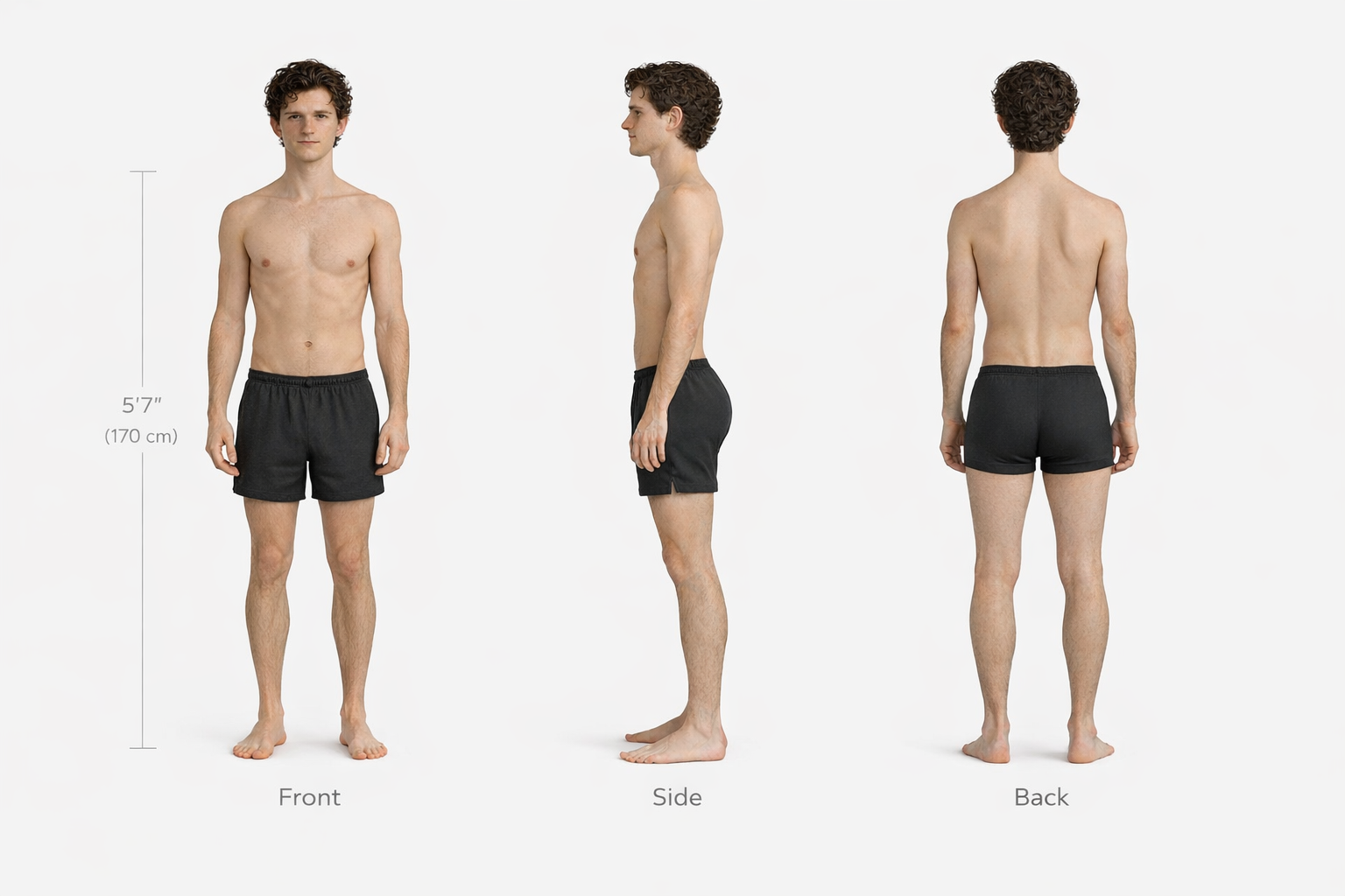 Lucien Anatomy Sheet Comparison